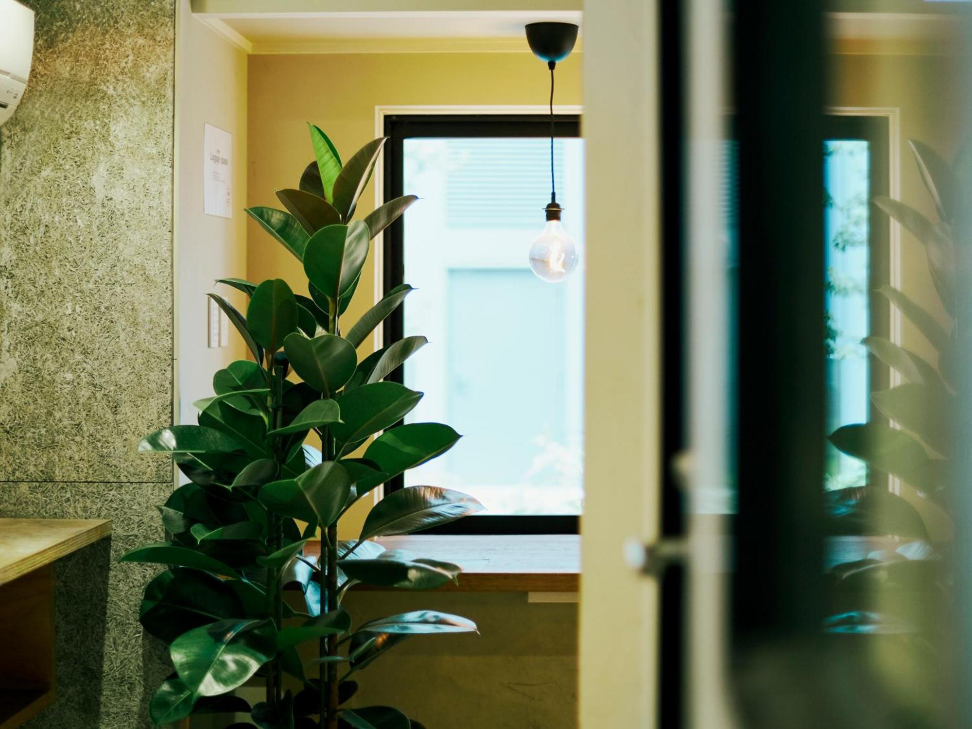 Akasaka Guesthouse Hive Tokyo Eksteriør billede